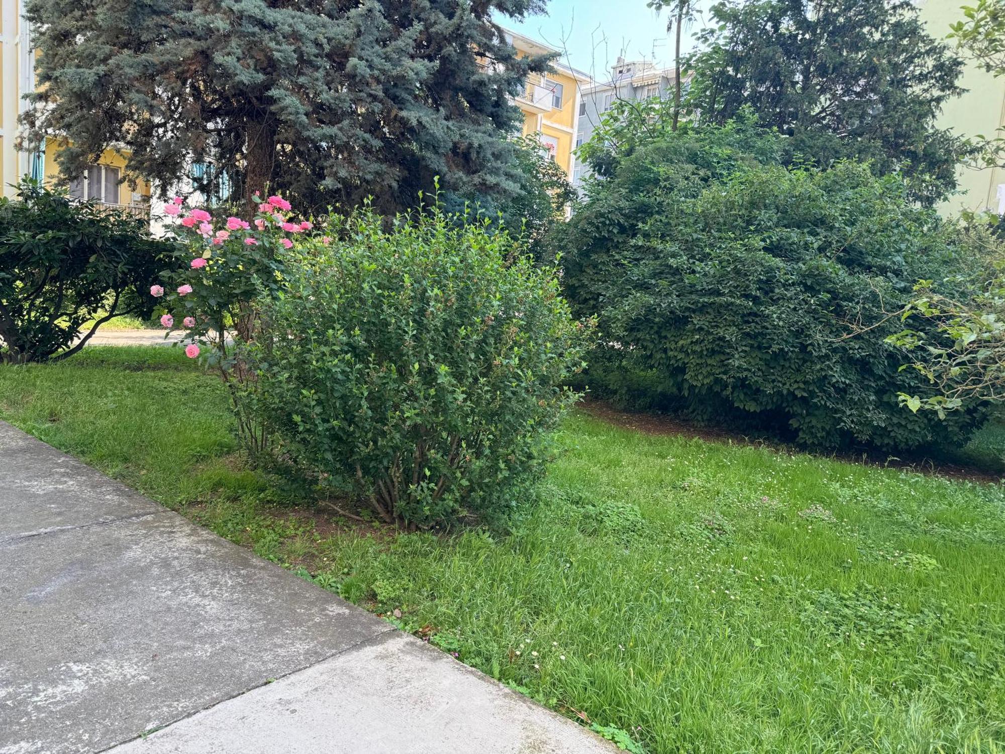 Casa Grivola 29 Διαμέρισμα Βερτσέλλι Εξωτερικό φωτογραφία